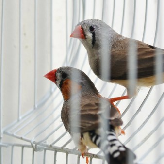 Untitled design (52)